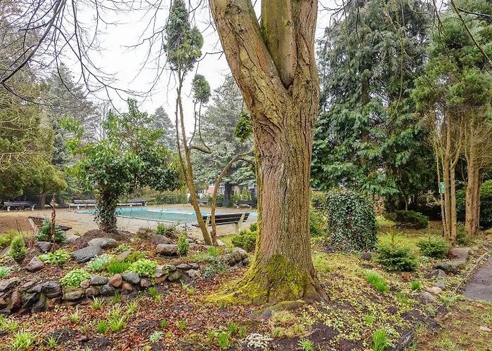 Apartamento Solny Resort, Sun & Snow *